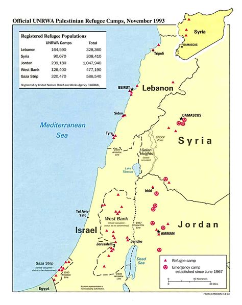 palestine city|Category:Cities in the State of Palestine .